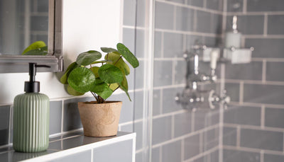 Choosing an artificial houseplant