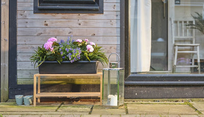 How to refresh your home this spring