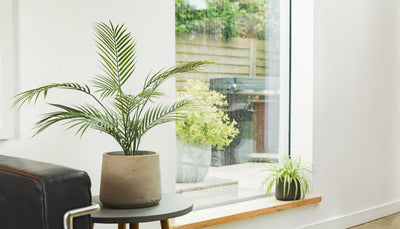 How to transform your spare bedroom into a wellness room