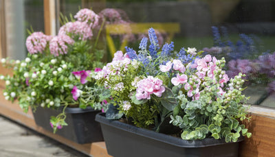 6 tips to refresh your front garden
