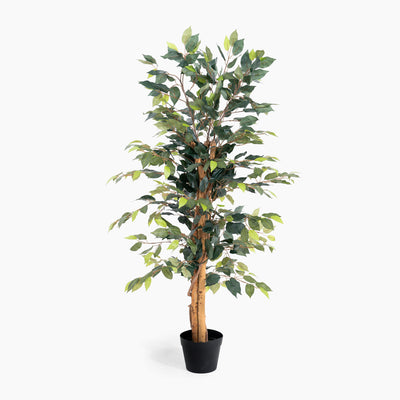 Artificial potted tree with green leaves on a white background