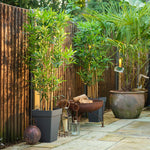 Outdoor garden setting with potted plants, a fire pit, and lanterns against a wooden fence.