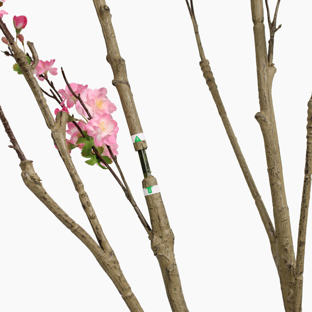 Blossom tree
