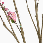 Blossom tree