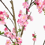 Blossom tree