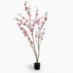 Blossom tree