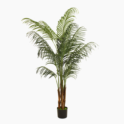 Tropical palm (faulty)