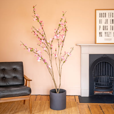 Potted plant with pink blossoms in a living room setting with a black sofa and fireplace.