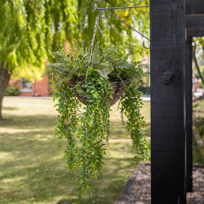 Hanging basket of green ferns in a garden setting with trees and grass.