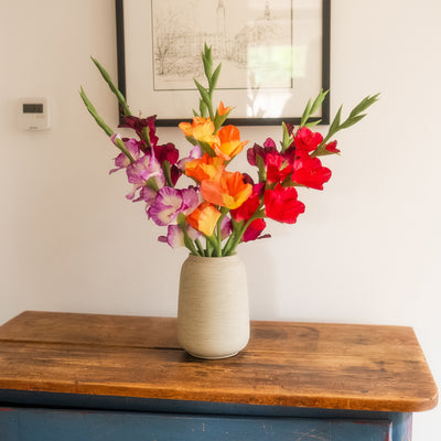 A vibrant floral arrangement of red, orange, and purple gladiolus in a textured beige ceramic vase, displayed on a rustic wooden table against a white wall.