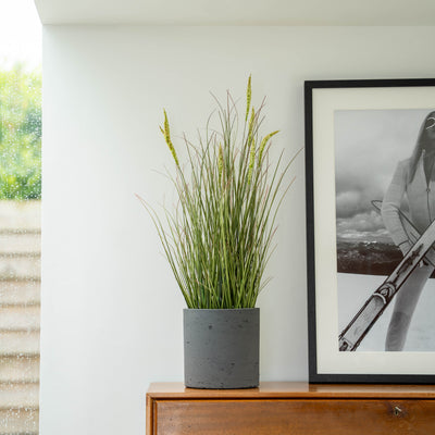 Potted grass on a wooden bureau with a framed picture in the background.