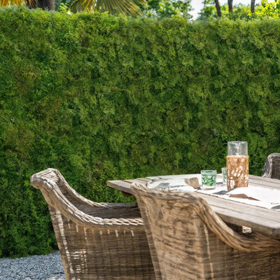 Outdoor dining setup with wooden table and chairs against a green wall.