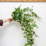 Person holding a bunch of green artificial ivy leaves against a white background