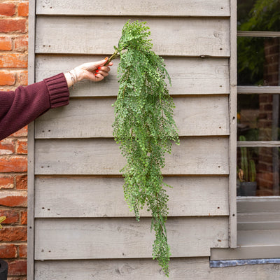 Person hanging a green plant on a wooden wall next to a brick wall.