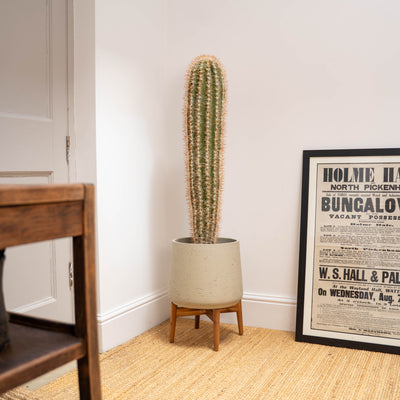 Cactus in a clay pot on a wooden stand next to a framed poster in a white hallway.