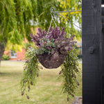 Hanging basket with purple and green plants attached to a wooden post in a garden setting