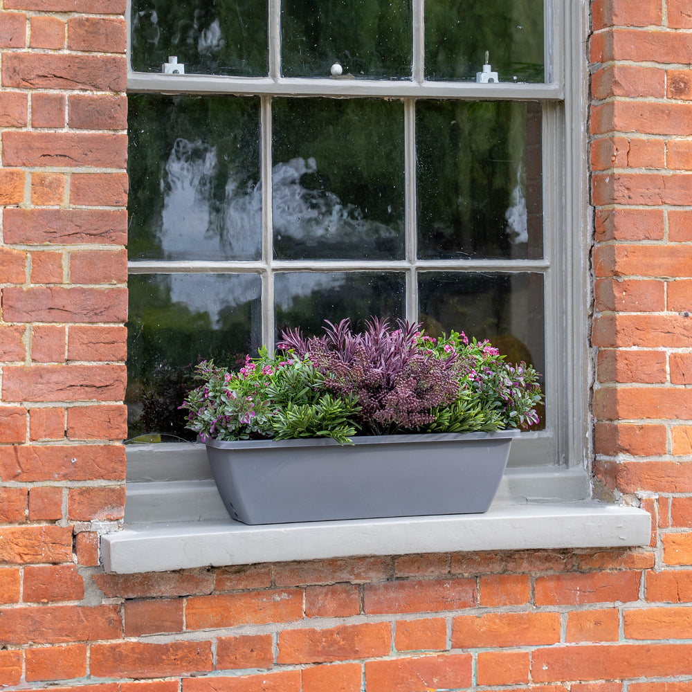 Window box with green and purple flowers and foliage on a brick wall