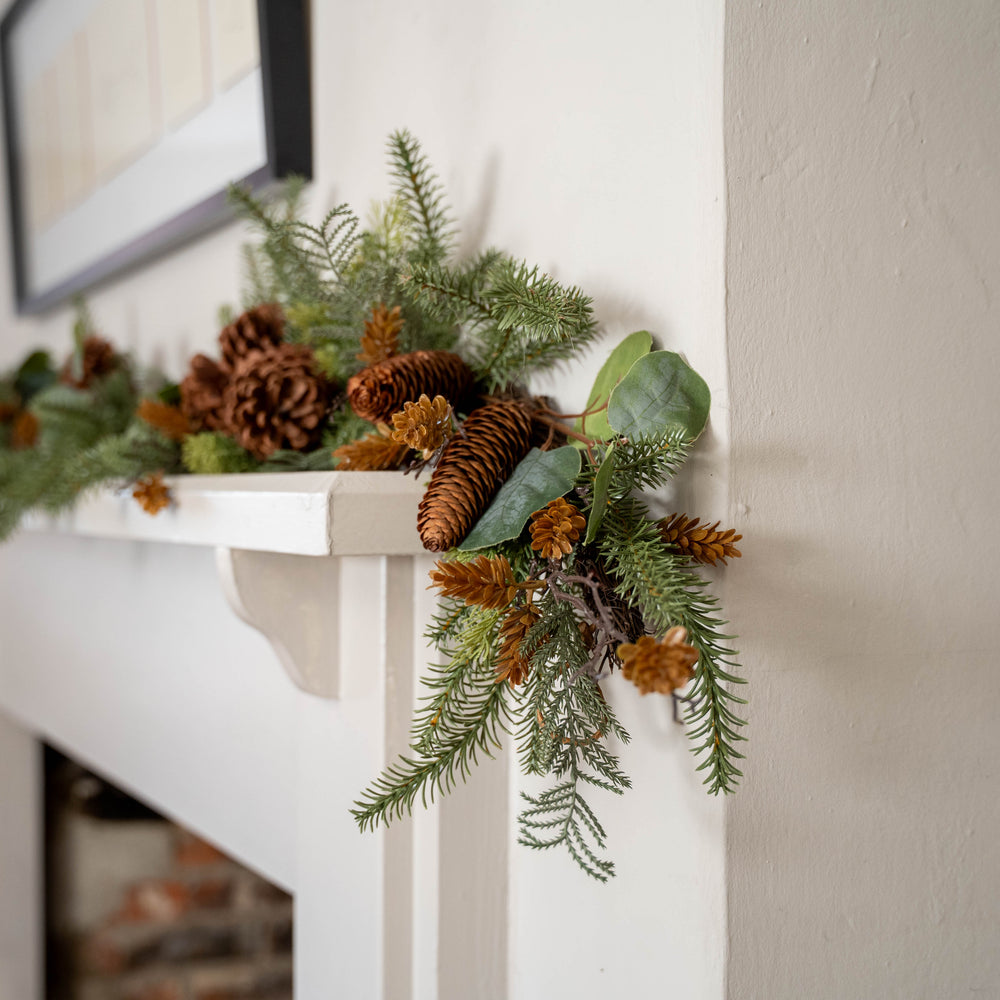Mixed pine Christmas bundle