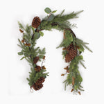 Mixed pine Christmas bundle