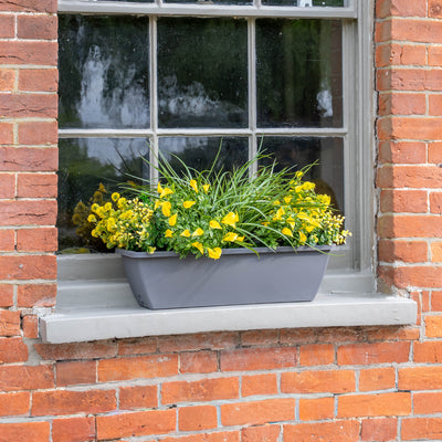 Window with a flower box full of yellow flowers on a brick wall.