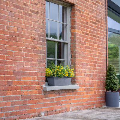 Brick building with a window box full of yellow flowers