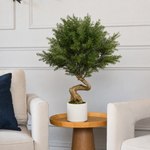 An artificial bonsai evergreen tree with a gnarled brown trunk in a white pot, displayed on a round wooden side table between two cream-colored armchairs.