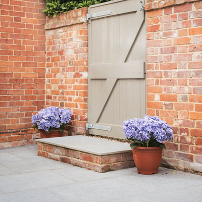 Brick wall with a closed gate and two potted flowers on a patio.