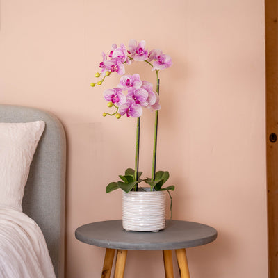 Pink orchid in a white pot on a small round table against a peach wall.