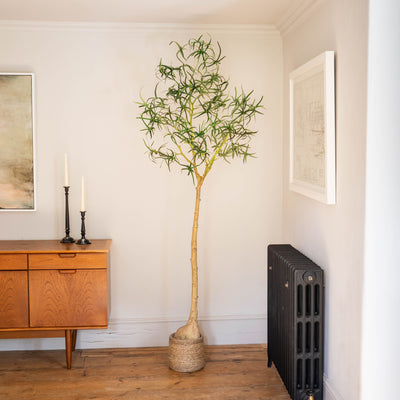 A tall artificial tree with thin green leaves and a light beige trunk, styled in a woven basket pot on a wooden floor in a room corner with a mid-century sideboard, framed art, and a radiator.