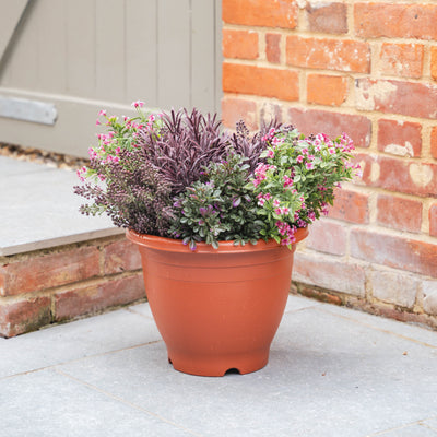 Plastic pot with flowering purple and pick plants with foliage against a brick wall.