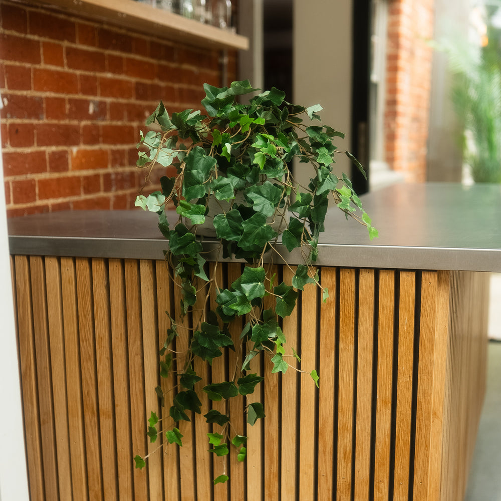 A green ivy plant with trailing vines draped over a modern wooden slat counter with a stainless steel top, set against a brick wall background.