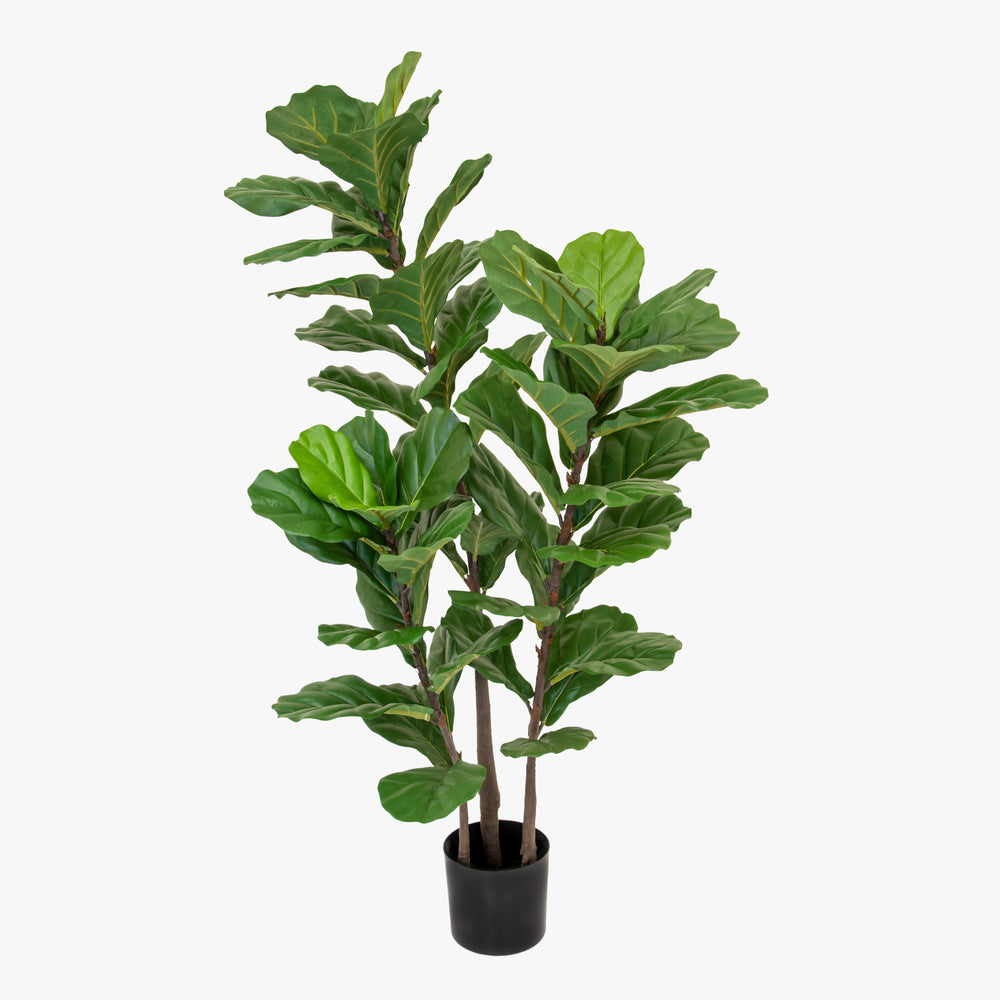 artificial 130cm banjo fig plant on white background