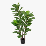 artificial 130cm banjo fig plant on white background