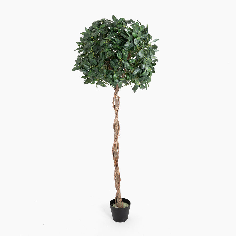 Artificial topiary tree with a twisted trunk on a white background
