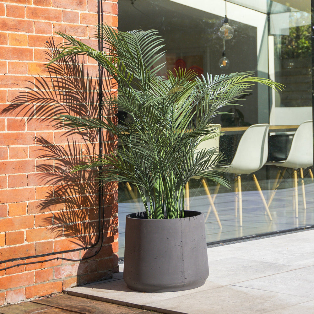 Potted plant on a wooden deck next to a glass door with a brick wall background