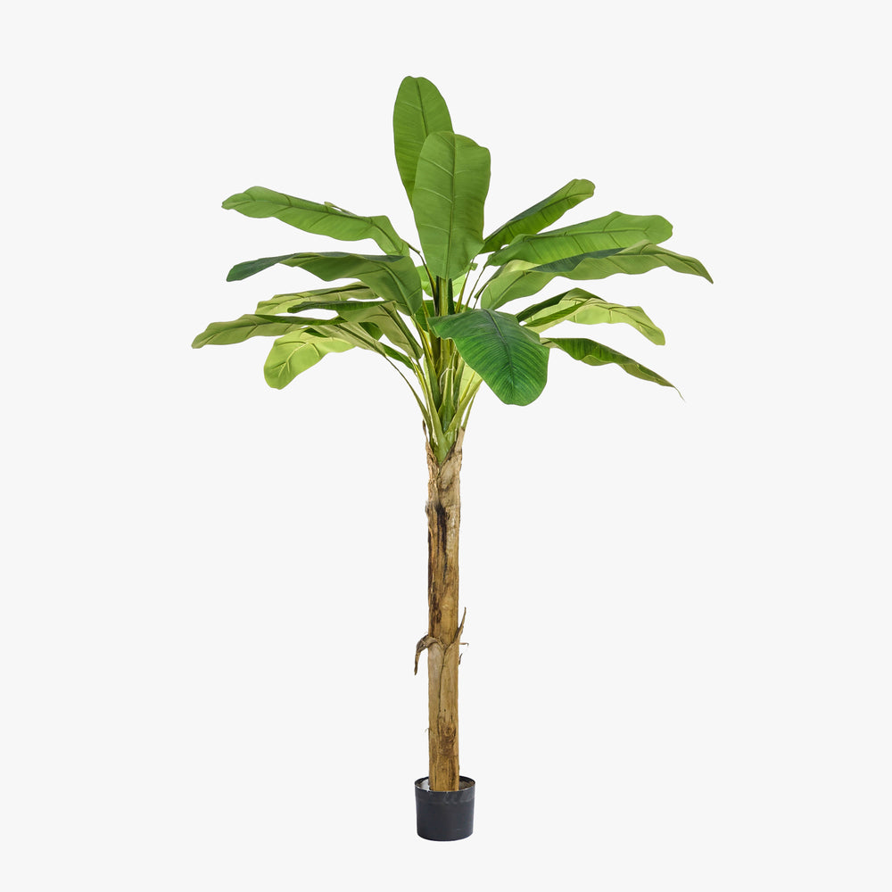 Artificial banana plant in a pot on a white background