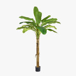 Artificial banana plant in a pot on a white background