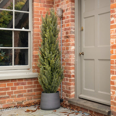 Gray door on a brick wall with a potted plant nearby
