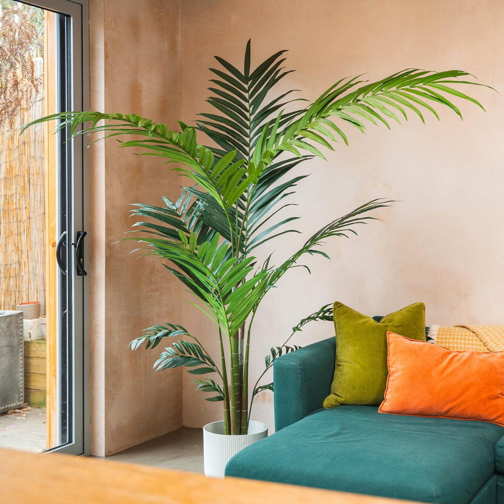 Living room with a green sofa, colorful pillows, and a large plant.