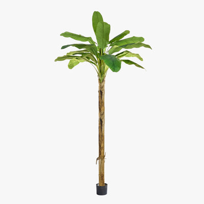 Artificial banana palm tree on a white background