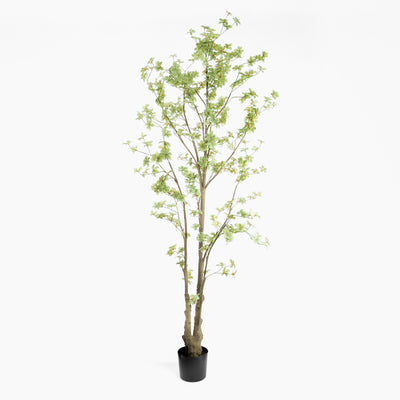 Artificial tree with green leaves in a pot on a white background