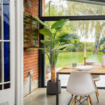 Modern dining area with a large plant, wooden table, and white chairs near a glass door.