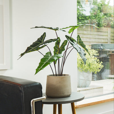 Potted plant on a small round table next to a black leather chair with a window in the background.