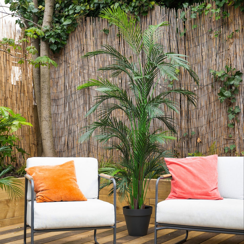 Outdoor seating area with white chairs and plants against a wooden wall.