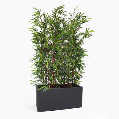 Asian wonder bamboo screening