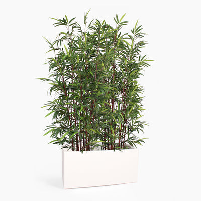 Asian wonder bamboo screening