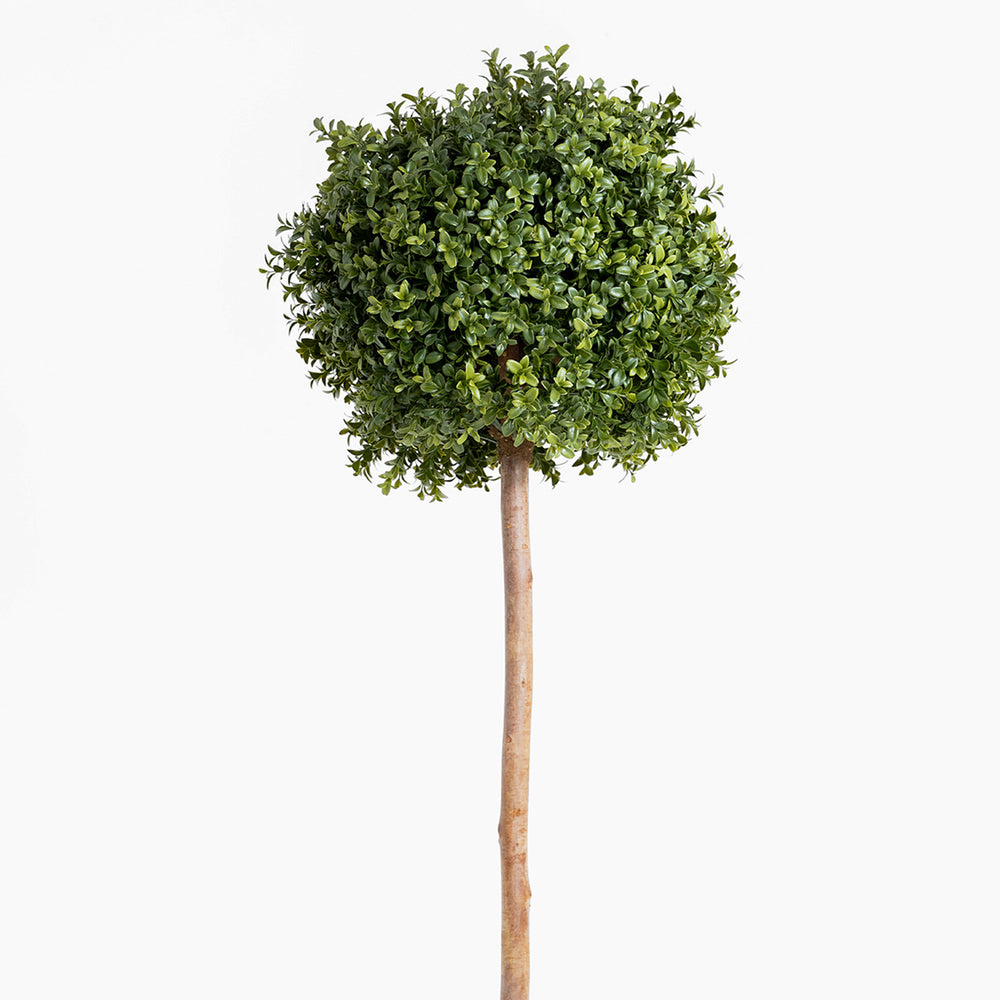 Artificial topiary ball tree on a white background