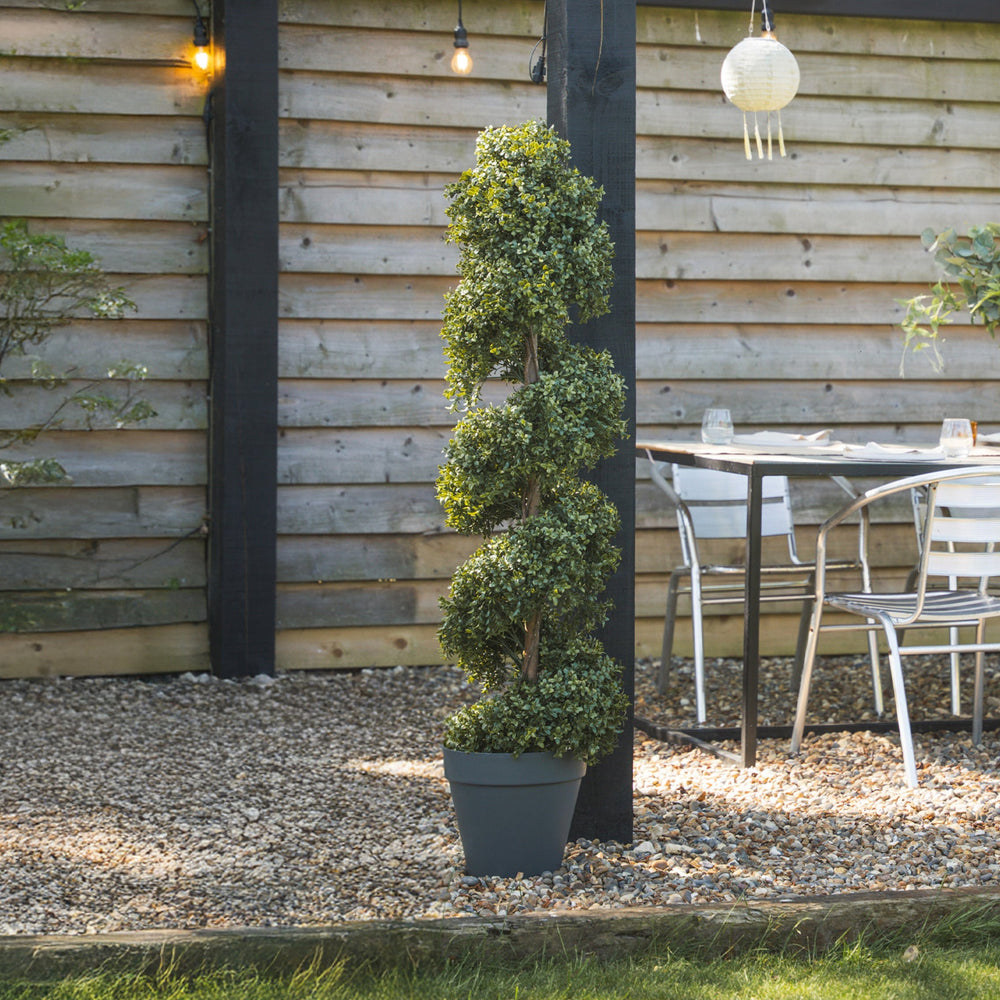 Boxwood spiral with stem