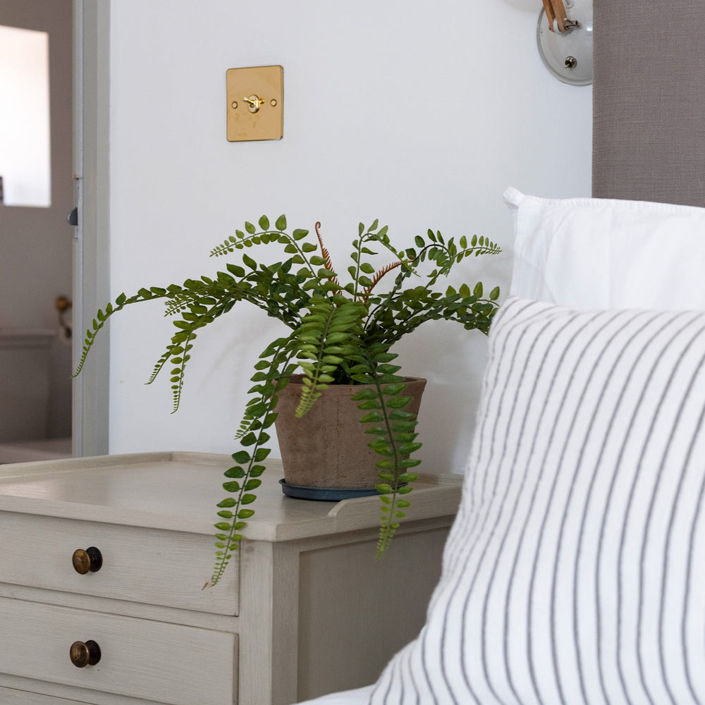 Bedroom with a bed, nightstand, and potted plant.