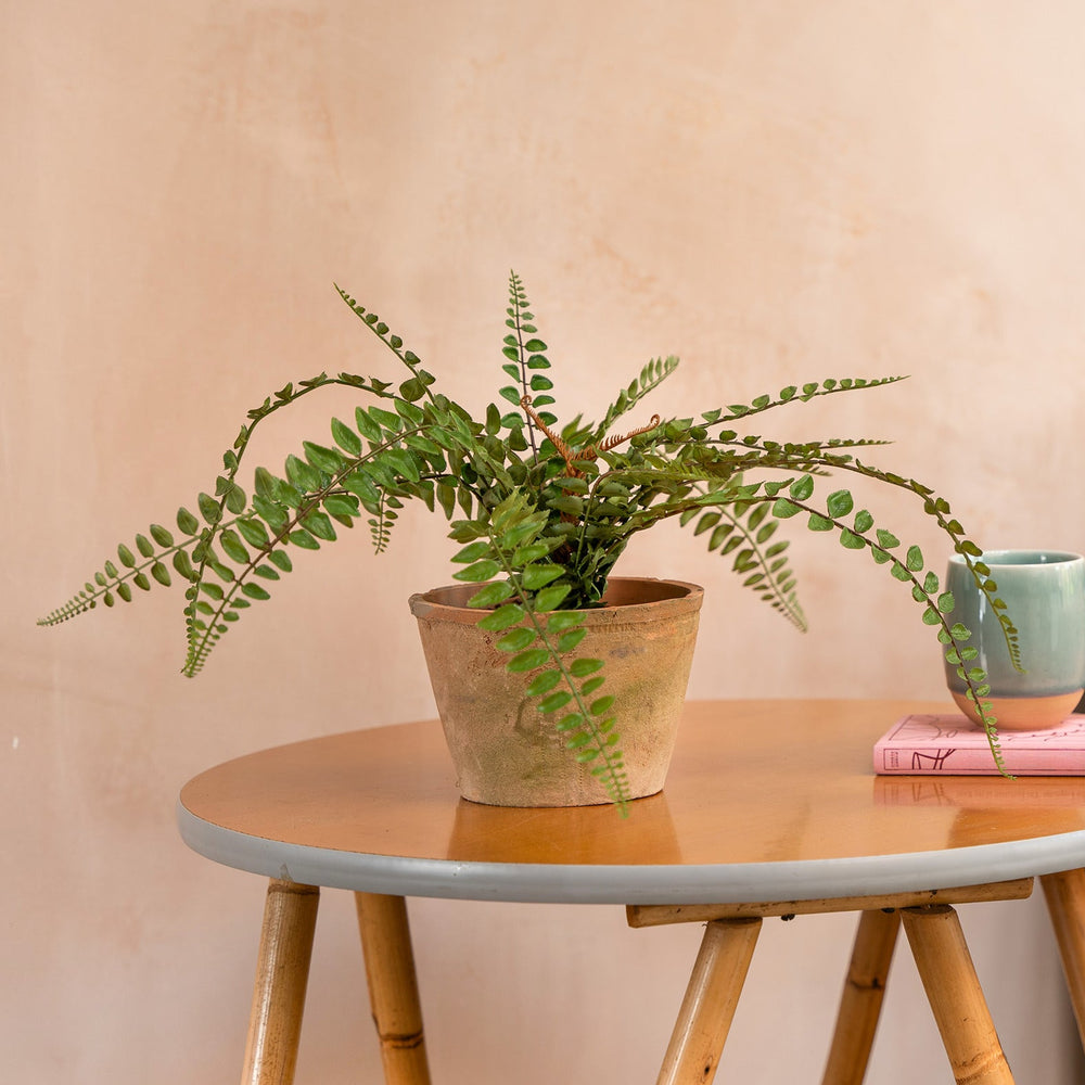 Small wooden table with a potted plant, mug, and book against a beige wall.